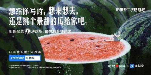 娱乐吃瓜文案视频,吃瓜群众必看的幕后花絮大放送！