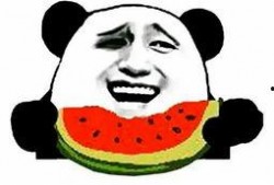 furry吃瓜表情包模板免费,笑翻你的表情包盛宴！