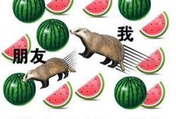 吃大瓜传媒网红