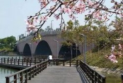 日本成片在线观看,揭秘热门影视作品背后的故事