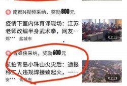 怎么看爆料的视频有收益,如何从热门视频中获利