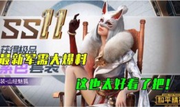 近日新军需爆料最新消息,最新爆料揭示军事装备革新动态