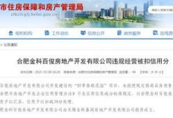 合肥房产爆料最新消息,揭秘新政策与市场走势！
