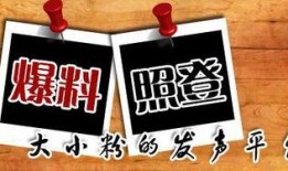 福州新闻爆料平台,聚焦城市热点，揭秘幕后真相